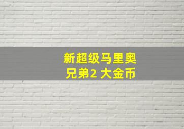 新超级马里奥兄弟2 大金币